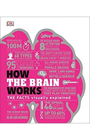 How the Brain Works: The Facts Visually Explained (How It Works) Hardcover